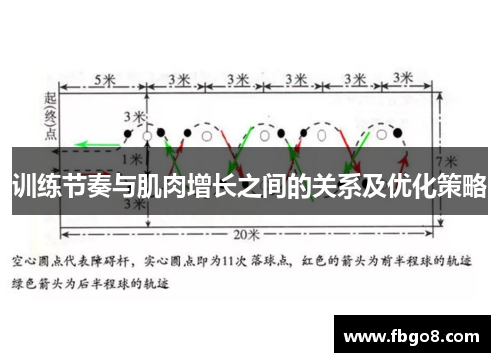 训练节奏与肌肉增长之间的关系及优化策略